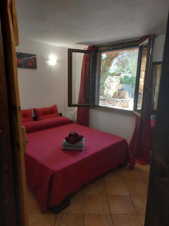 L'orchidea Holiday home Capitana