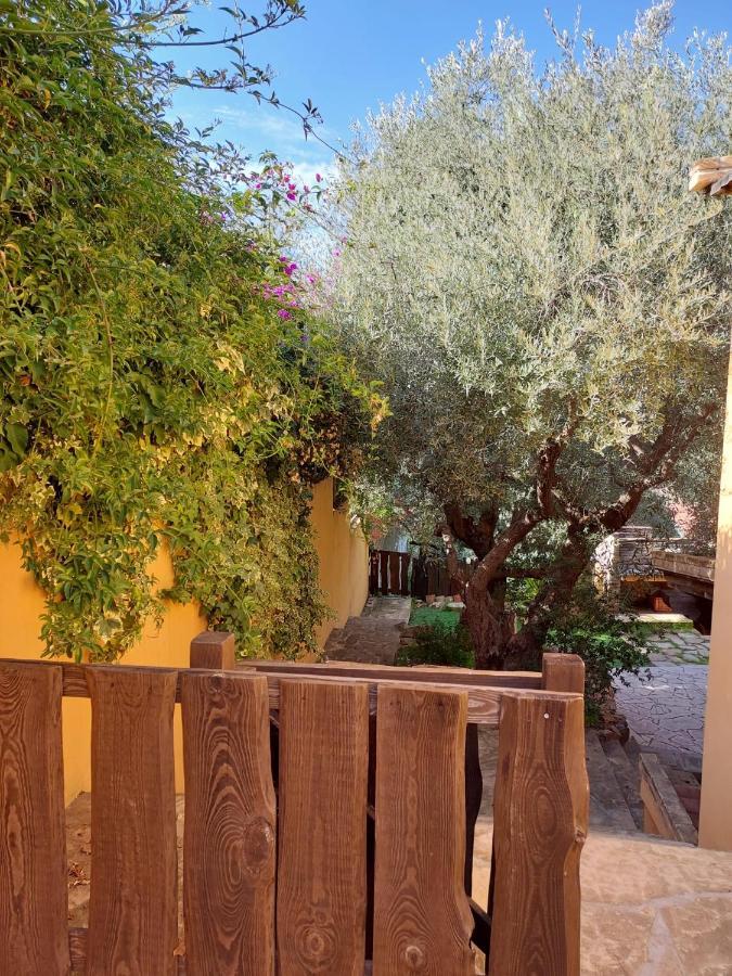 L'orchidea Holiday home *